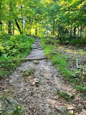 Sugarloaf Mountain by null