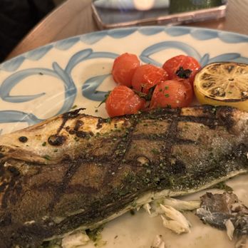 Lucrezia La Jolla - The grilled Bronzino. Perhaps the best item here. - Italian Near Me - San Diego, California Lucrezia La Jolla - The grilled Bronzino. Perhaps the best item here. - Italian Near Me - San Diego, California