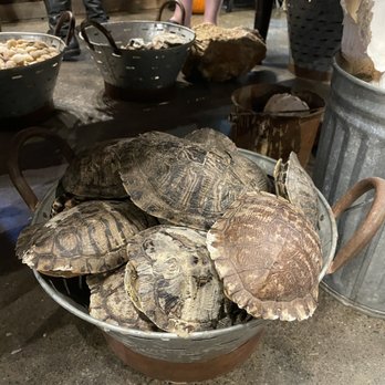 NW Rockhounds - Hobby Shops Near Me - Seattle, Washington