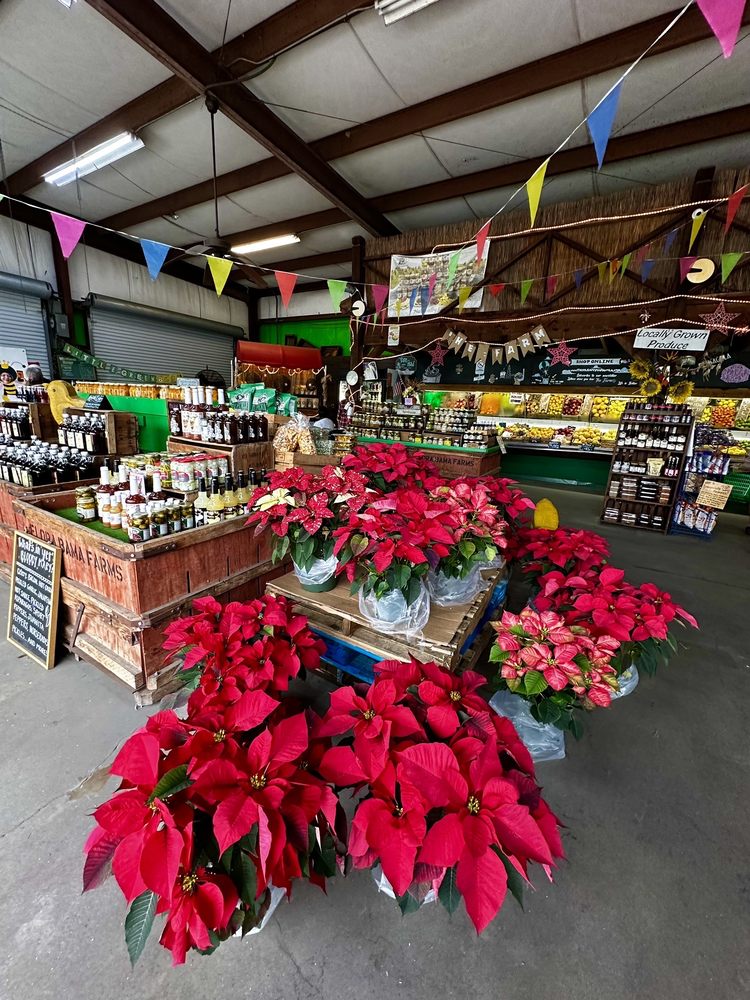 THE FARM / FBF OF PENSACOLA Updated November 2024 72 Photos & 28