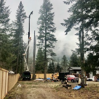 Vincent Treeworks - 60 foot bucket boom makes easy work out of tall trees - Tree Services Near Me - Glade, British Columbia Vincent Treeworks - 60 foot bucket boom makes easy work out of tall trees - Tree Services Near Me - Glade, British Columbia