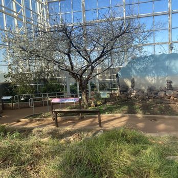 River Bend Nature Center - Community Service/Non-Profit Near Me - Wichita Falls, Texas River Bend Nature Center - Community Service/Non-Profit Near Me - Wichita Falls, Texas