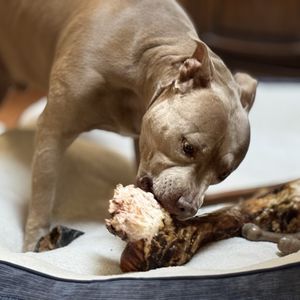 No Bull Prime Meats on Yelp