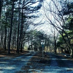 East Roswell Park