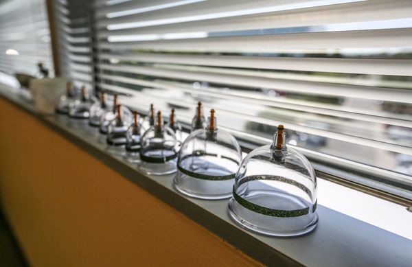 Denver Integrated Spine Center by null