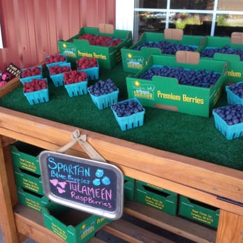 Unger Farms - Berries for sale. - Farmers Market Near Me - Cornelius, Oregon