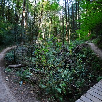 Marquam Nature Park - A small bridge over seasonal water, as the trail doubles back along a parallel hillside - Hiking Near Me - Portland, Oregon Marquam Nature Park - A small bridge over seasonal water, as the trail doubles back along a parallel hillside - Hiking Near Me - Portland, Oregon