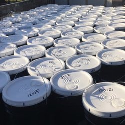 5 gallon paint