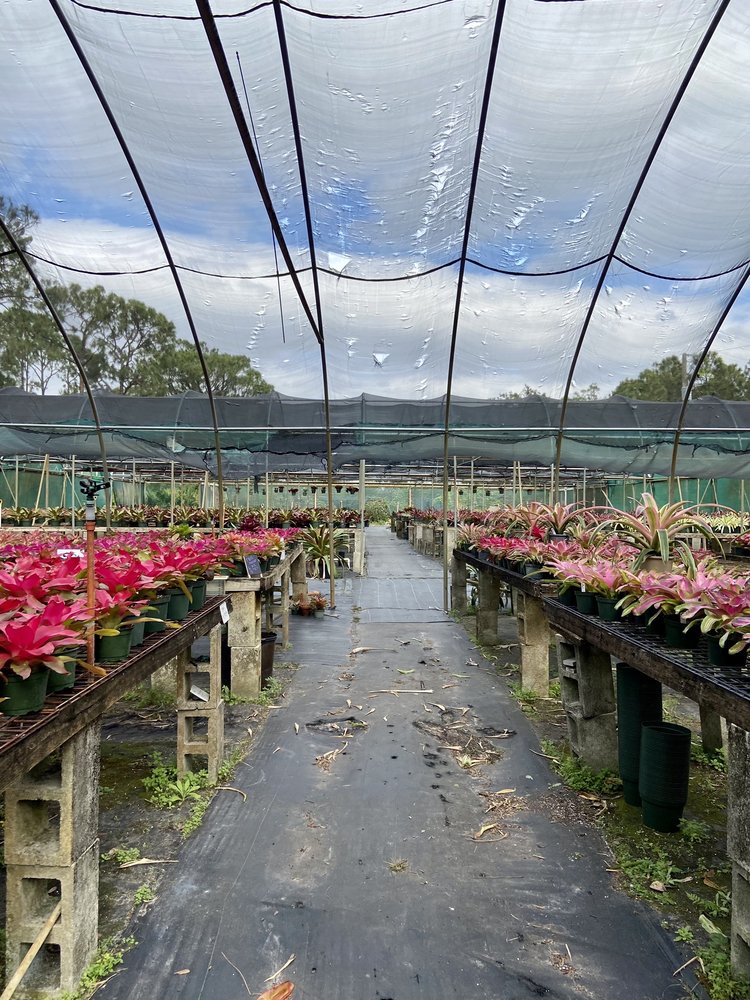 BONITA BROMELIADS 22 Photos 12525 Tower Rd, Bonita Springs, Florida