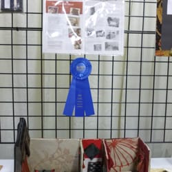 Fab Mo Challenge Fab Mod Doll House 2015 First Place Winner San Mateo County Fair - Made by Lanajean with Fab Mo materials!