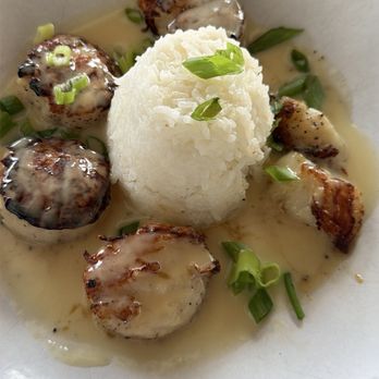 Riverhouse Waterfront Restaurant - Coconut rum scallops - Seafood Near Me - Palmetto, Florida Riverhouse Waterfront Restaurant - Coconut rum scallops - Seafood Near Me - Palmetto, Florida
