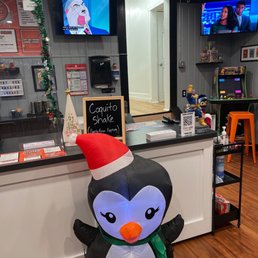 a penguin in a santa hat a penguin in a santa hat