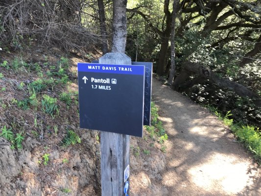 Matt Davis Trail Head by null