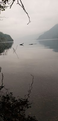 Fairholme Campground by null