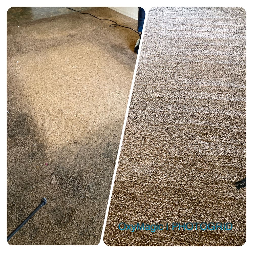OXYMAGIC CLEANING PROS Updated April 2024 18 Photos 1181 Falcon