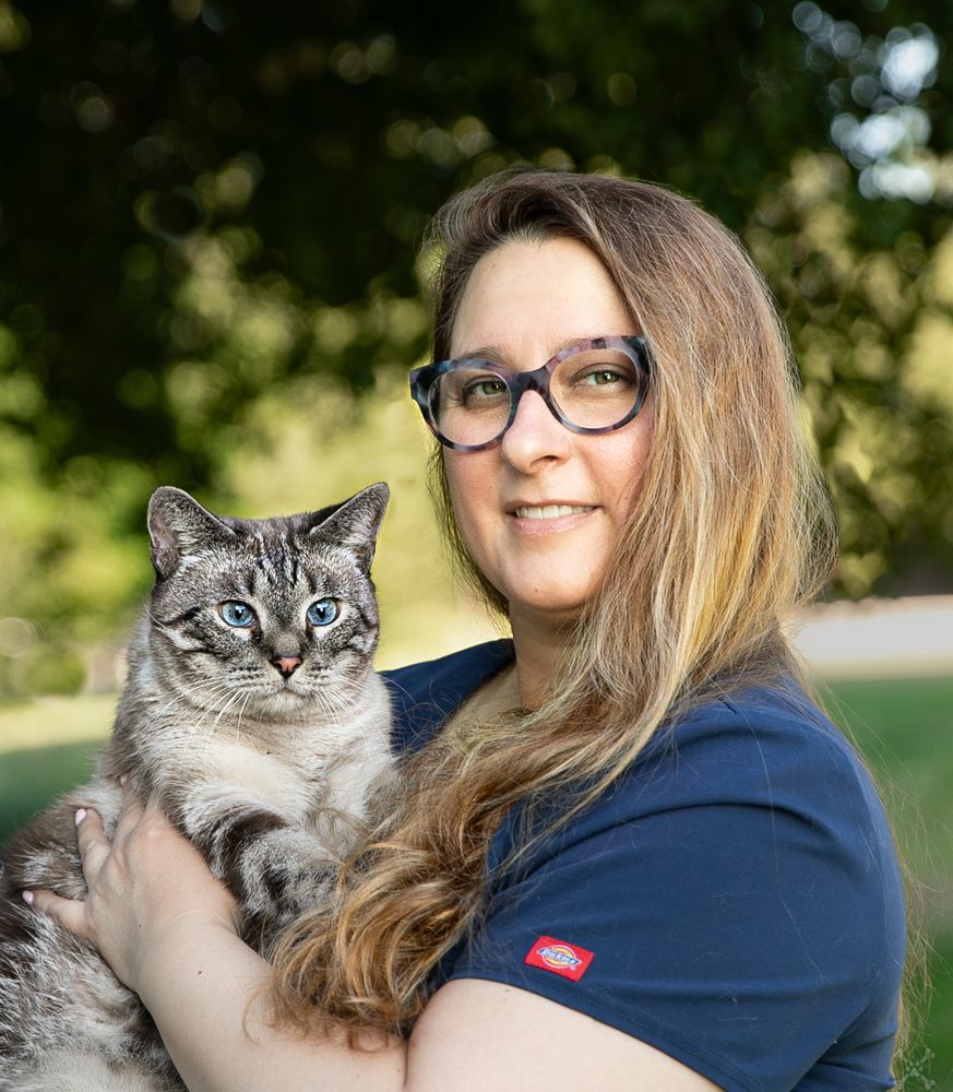 COMFORT PAWS MOBILE VET Updated October 2024 Request Information