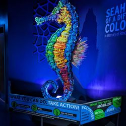 Greensboro Science Center - The amount of plastic each of us uses a year
