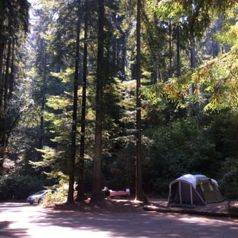 Samuel P Taylor State Park - Campsite 23 - Parks Near Me - Lagunitas, California Samuel P Taylor State Park - Campsite 23 - Parks Near Me - Lagunitas, California