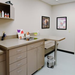 Amity Woods Animal Hospital & Lodge - Exam room 2