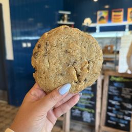 Chocolate chip cookie