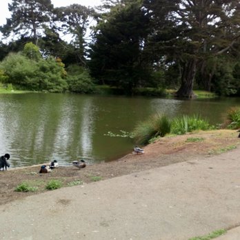 Metson Lake - The lake - Lakes Near Me Metson Lake - The lake - Lakes Near Me