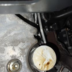 Jiffy Lube