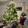 The Plant Foundry Nursery & Store gift card