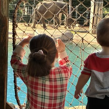 Fort Worth Zoo - Zoos Near Me - Fort Worth, Texas