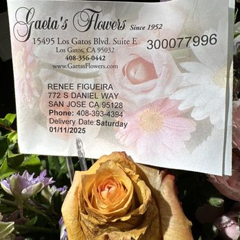 Gaeta's Flowers - Dying roses - Florists Near Me - Los Gatos, California Gaeta's Flowers - Dying roses - Florists Near Me - Los Gatos, California