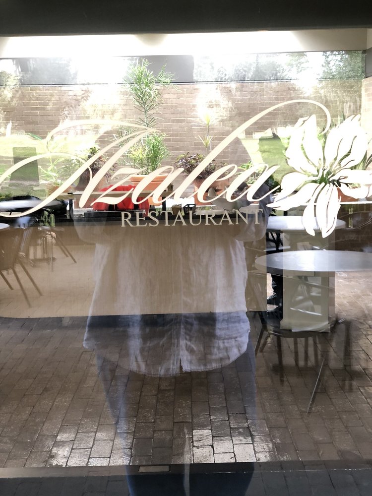 Azalea Logo