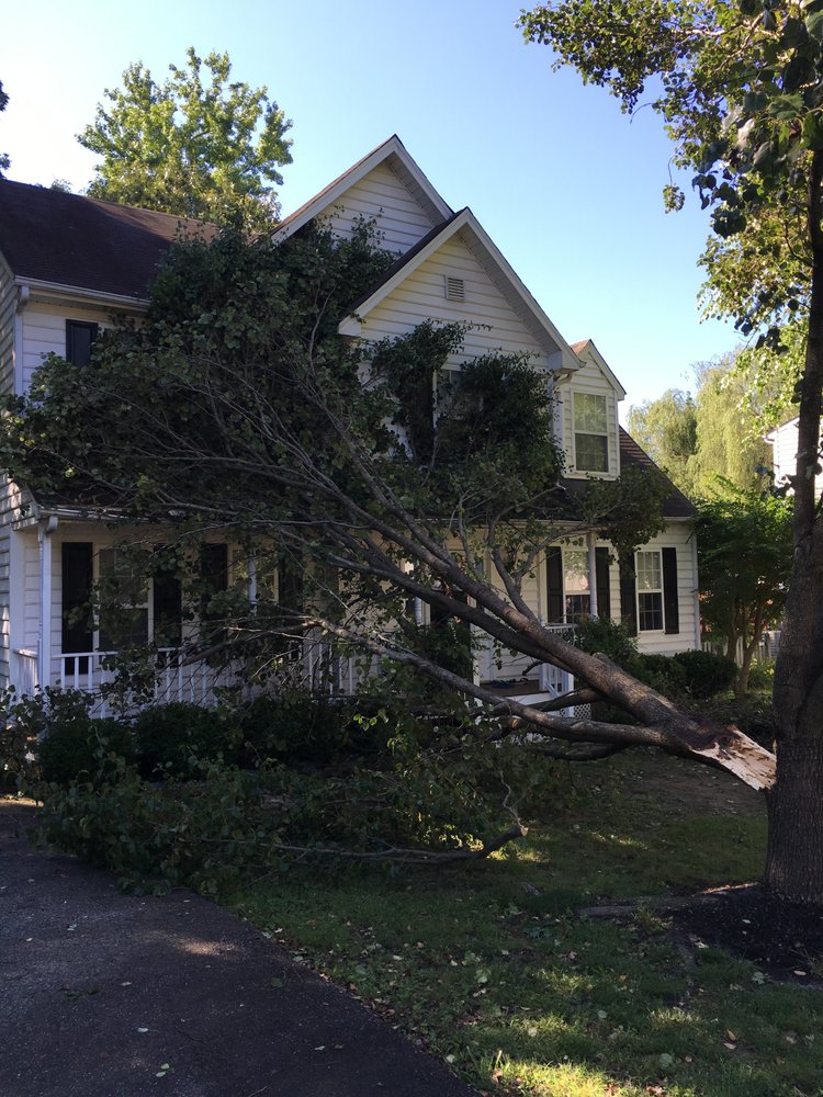 Woodchuckers Tree Service - tree service in Powhatan, VA