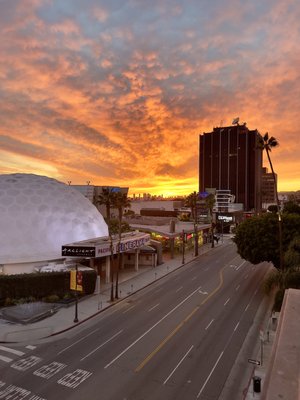 1555 Vine St by null