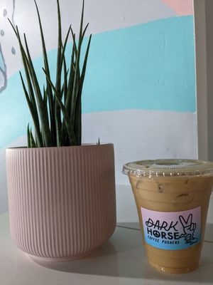 Dark Horse Coffee Roasters by null