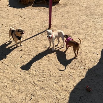 Recreation Dog Park - Dog Parks Near Me - Long Beach, California Recreation Dog Park - Dog Parks Near Me - Long Beach, California