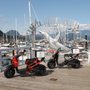 Photo of Scotty's Rentals