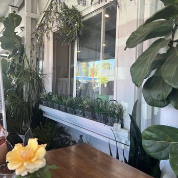My Little Home Thai Kitchen - Thai Near Me - Burbank, California My Little Home Thai Kitchen - Thai Near Me - Burbank, California