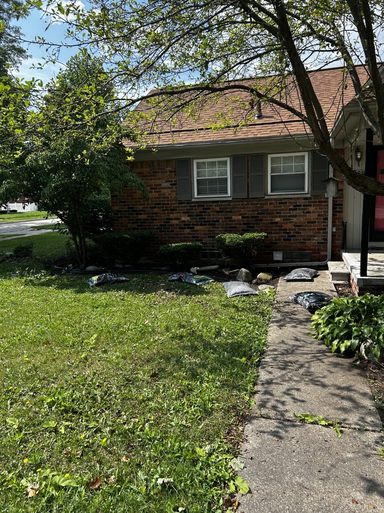 Slide of Shawn's Botany and Lanscaping