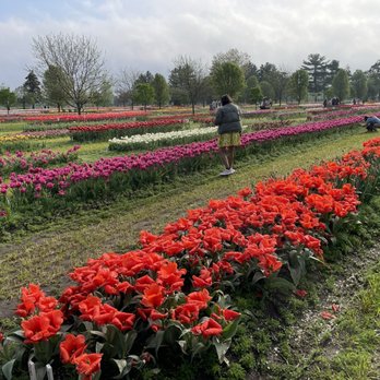 Veldheer's - Nurseries & Gardening Near Me - Holland, Michigan
