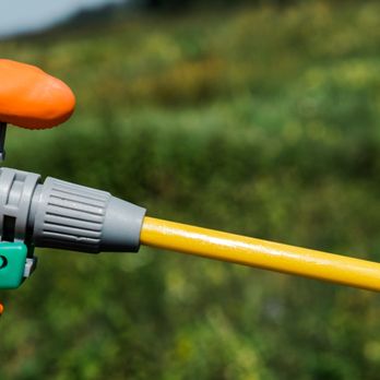 Golden Hills Pest Control - Pest Control Company in Sacramento, CA. Pest Control Sacramento - Pest Control Near Me - Sacramento, California Golden Hills Pest Control - Pest Control Company in Sacramento, CA. Pest Control Sacramento - Pest Control Near Me - Sacramento, California