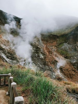 Yangmingshan National Park by null