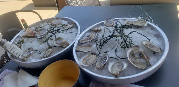OCEAN SEAFOOD DEPOT INC Wholesale by null