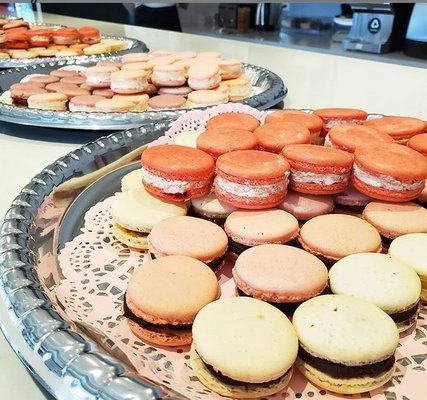 Boston Bonbon by null