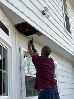 Bizzy Bee Plumbing Logo