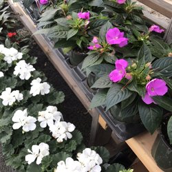 Victory Nursery & Landscaping