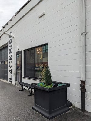 Blackbird Doughnuts / Sally's Sandwiches - Brighton by null