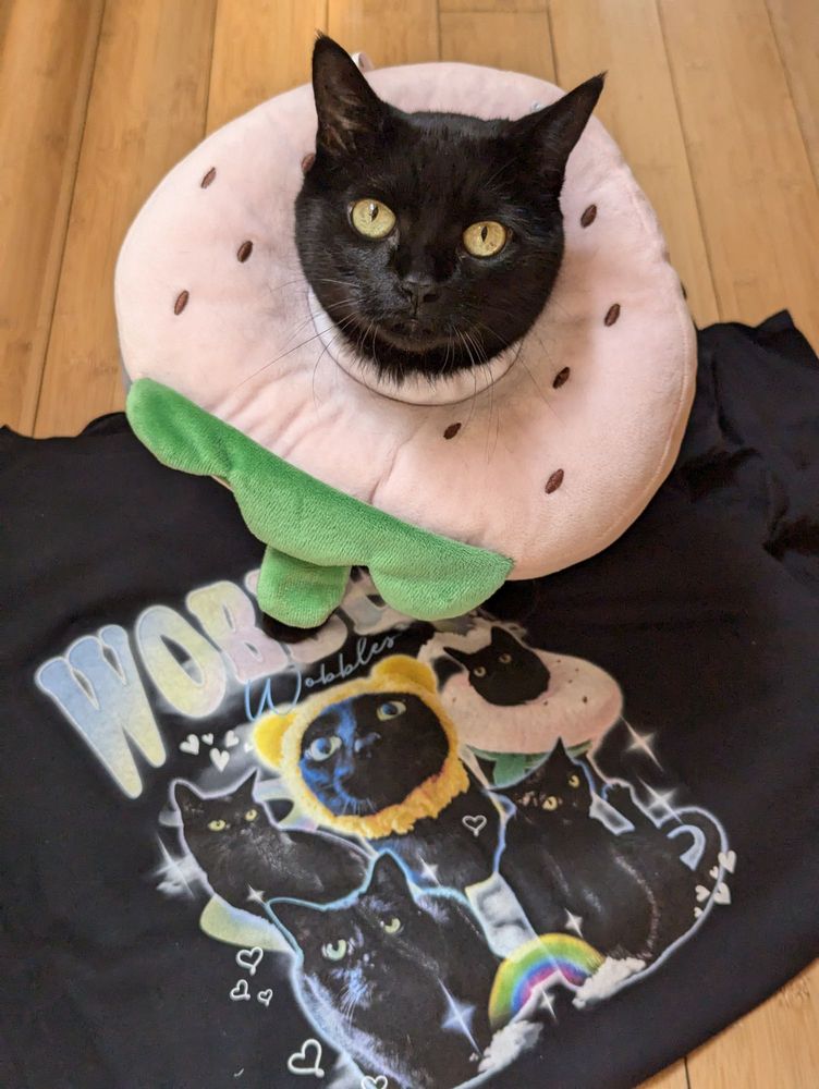 Spectrum Designs Foundation - social services organization in Port Washington, NY