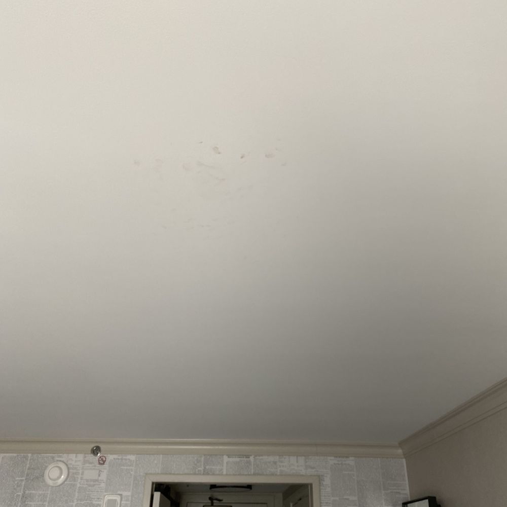 Baltimore Marriott Waterfront - Ceiling stains - Hotels Near Me - Baltimore, Maryland Baltimore Marriott Waterfront - Ceiling stains - Hotels Near Me - Baltimore, Maryland