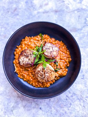 Sugar Palm Santa Monica by null