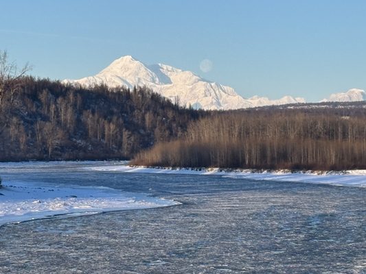 Salmon Berry Travel & Tours by null