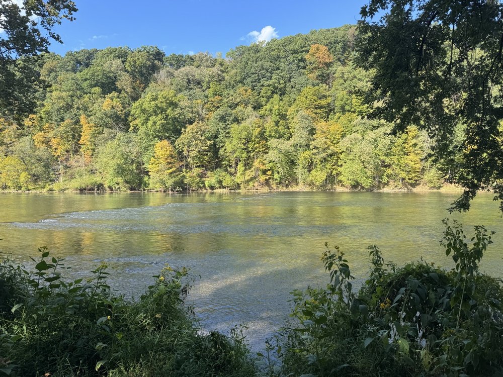 Social spots from Bisset Park